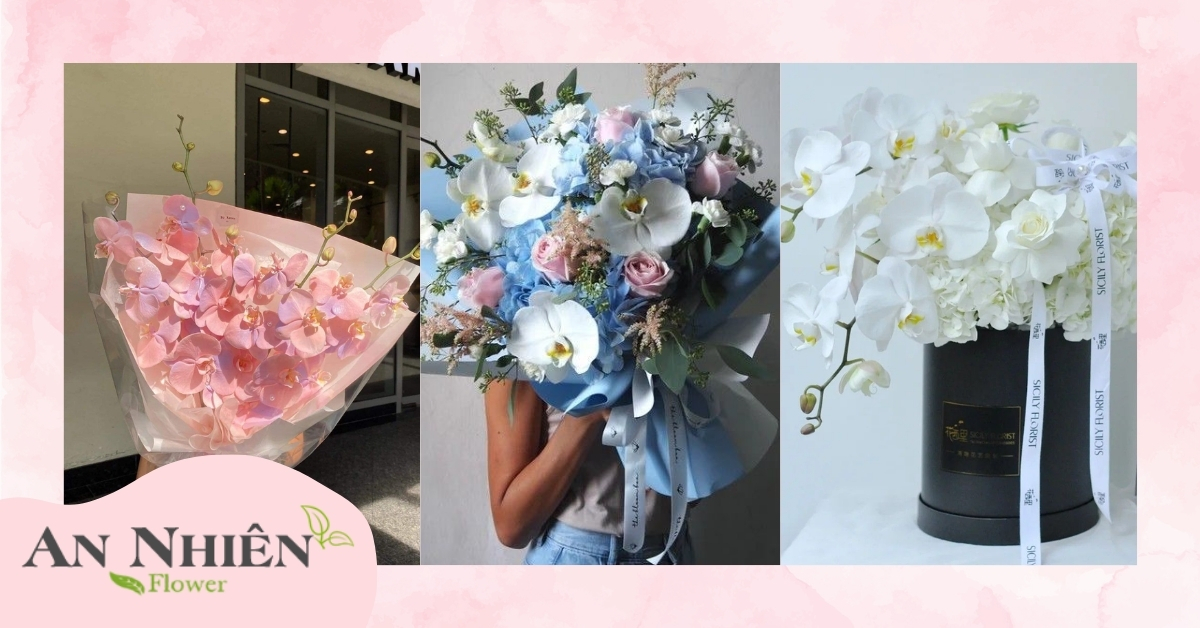 Hoa lan hồ điệp