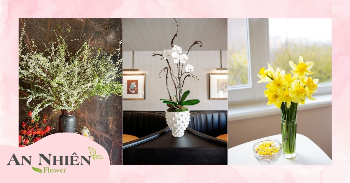 Cách chọn hoa tươi chuẩn ngay từ đầu