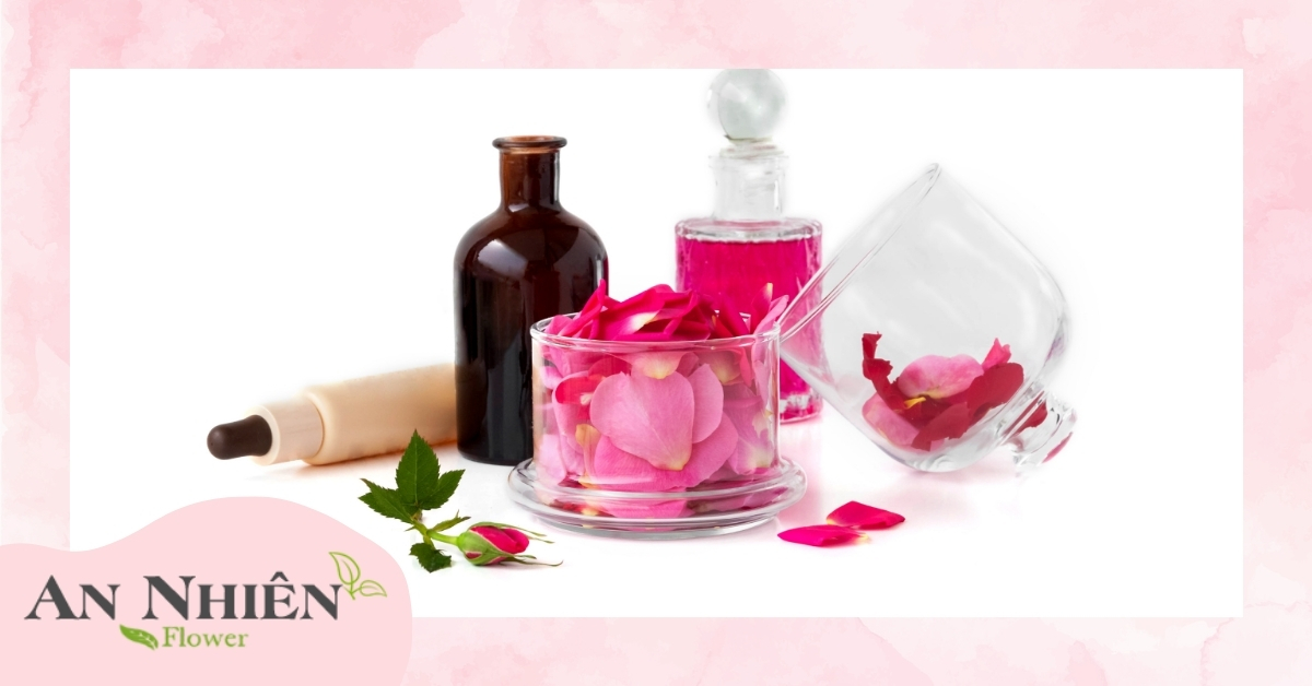 Cách chọn nguyên liệu làm nước hoa hồng