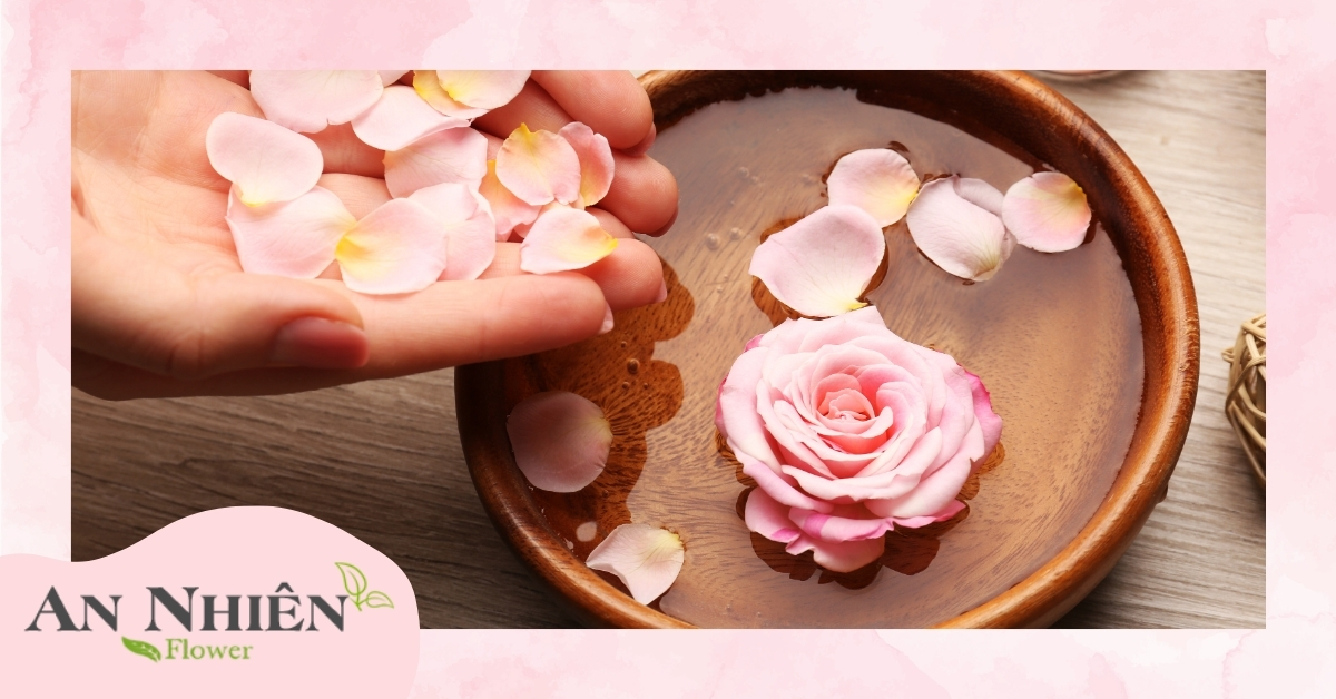 Công dụng của nước hoa hồng