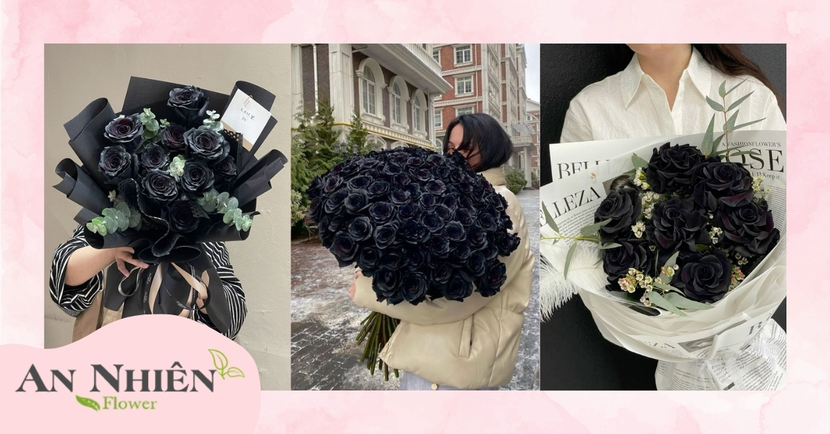 Hoa hồng đen là gì?