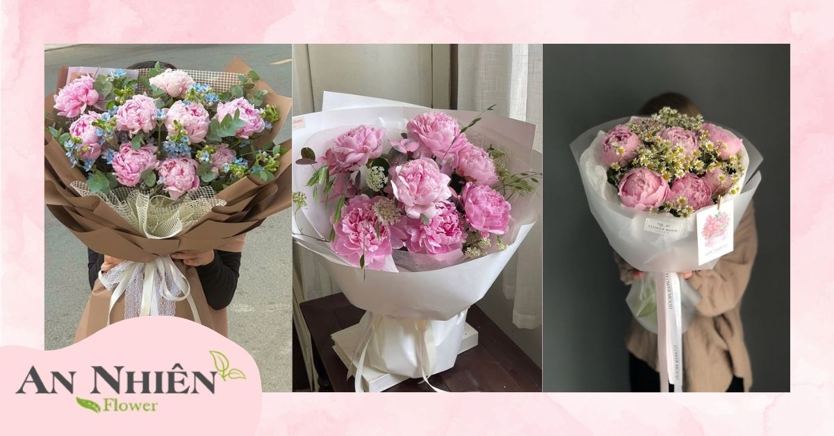 Hoa mẫu đơn là gì? Nguồn gốc và đặc điểm