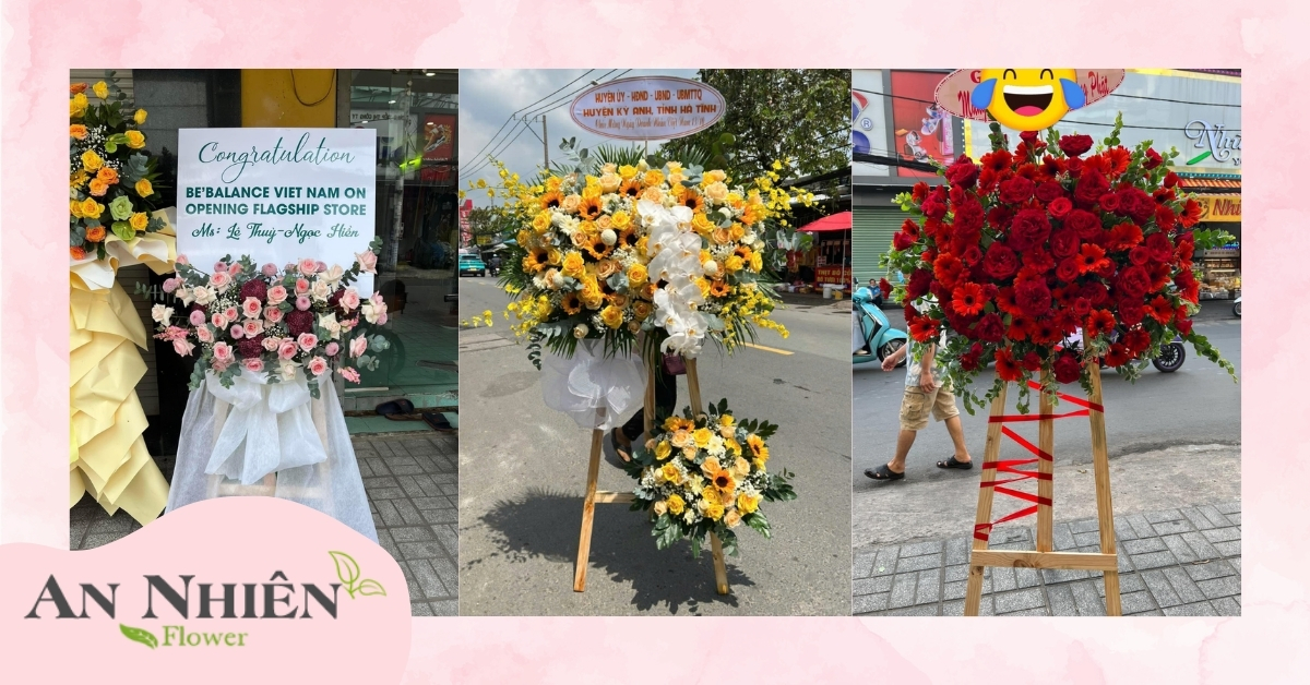 Kệ hoa khai trương theo màu sắc