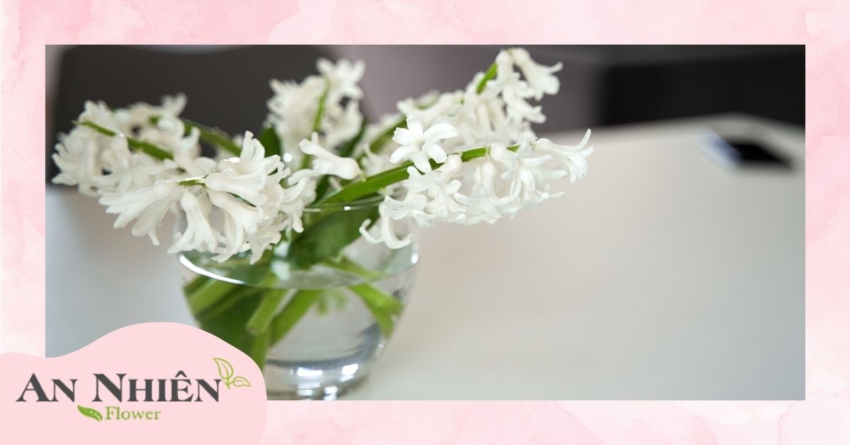 Môi trường đặt hoa lý tưởng