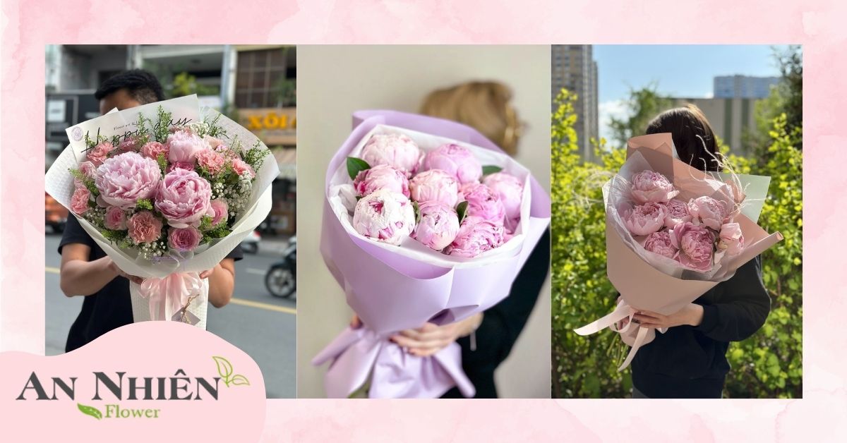 Mua hoa mẫu đơn ở đâu?