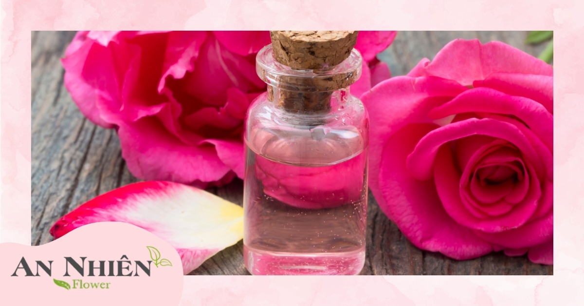Nước hoa hồng là gì?