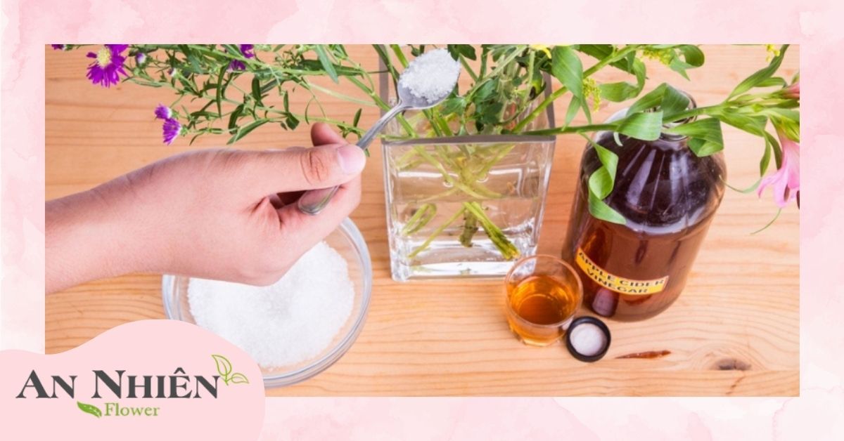 Pha dung dịch dưỡng hoa hiệu quả