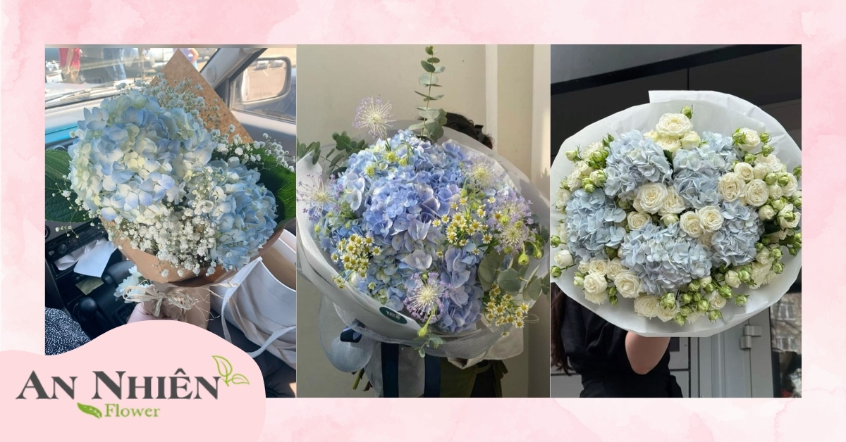 Hoa cẩm tú cầu tặng mẹ