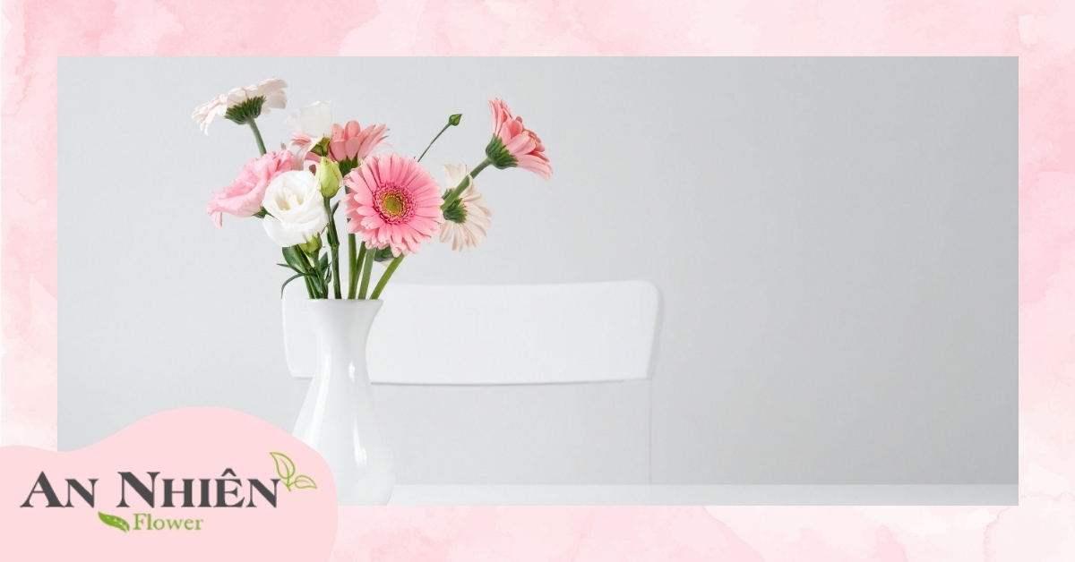 Ý nghĩa hoa đồng tiền trong phong thủy