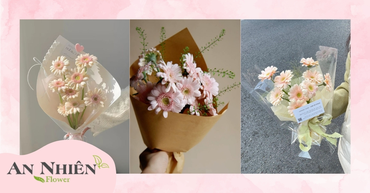 Ý nghĩa hoa đồng tiền trong tình yêu