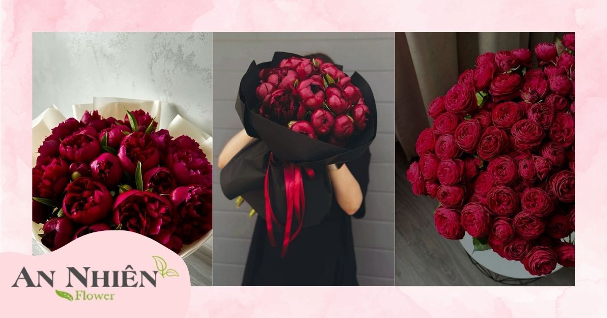 Ý nghĩa hoa mẫu đơn đỏ