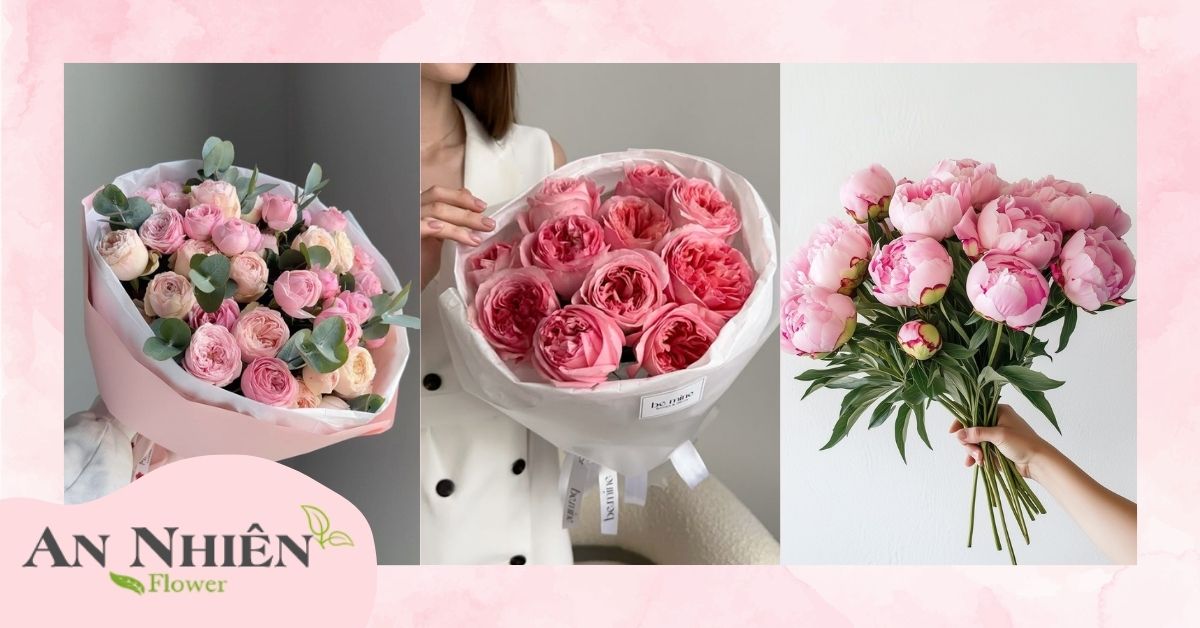 Ý nghĩa hoa mẫu đơn hồng