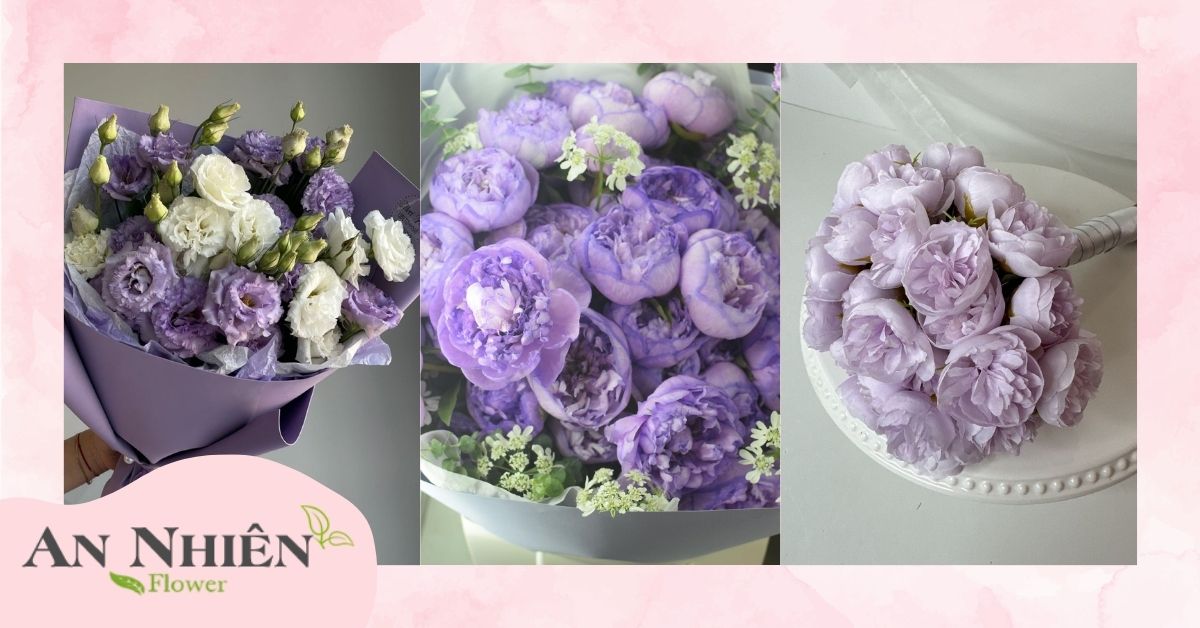 Ý nghĩa hoa mẫu đơn tím
