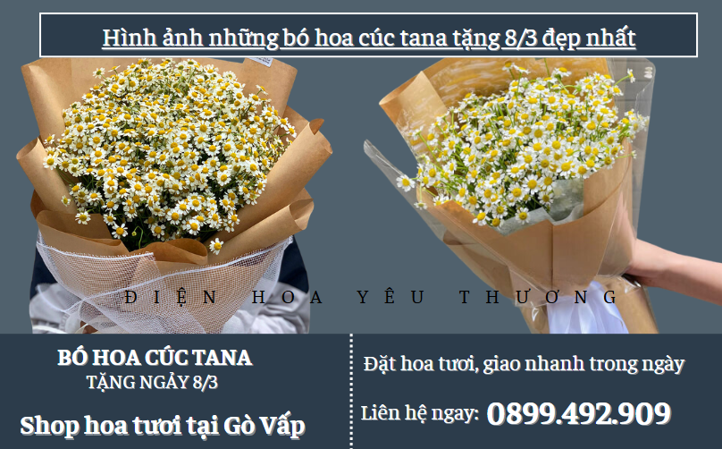những bó hoa cúc tana tặng 8/3 đẹp nhất