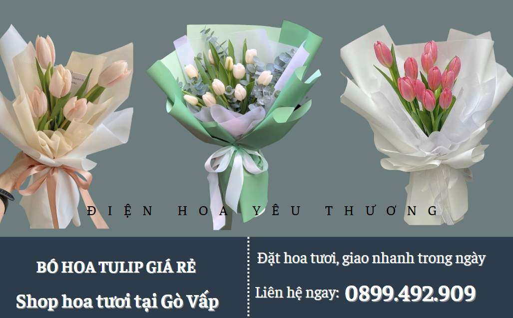 Bó hoa tulip giá rẻ