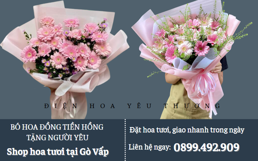 Bó hoa đồng tiền hồng tặng người yêu