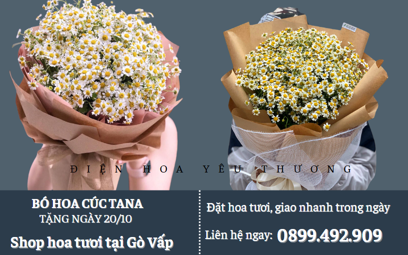 Bó hoa cúc tana 300k tặng 20/10