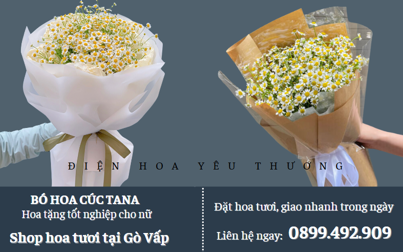 Bó hoa cúc tana tặng tốt nghiệp cho nữ