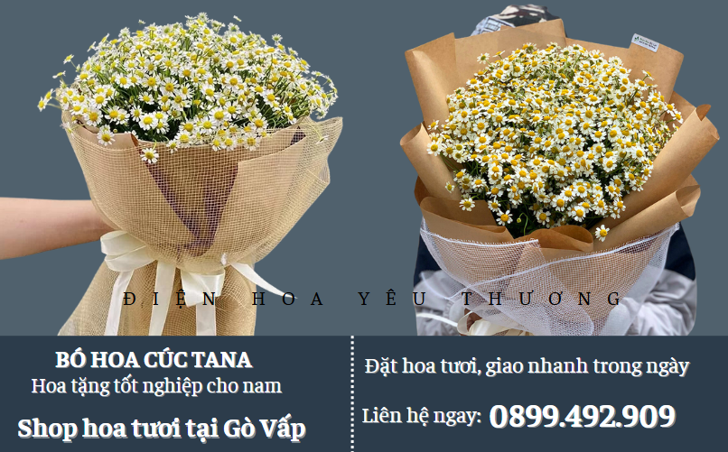 Bó hoa cúc tana tặng tốt nghiệp cho nam