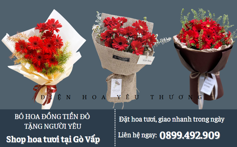 Bó hoa đồng tiền đỏ tặng người yêu
