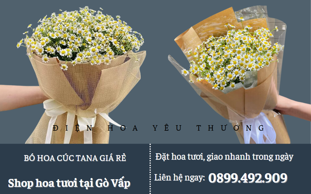 Bó hoa cúc tana giá rẻ