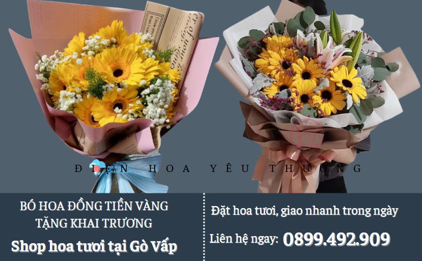 Bó hoa đồng tiền vàng tặng khai trương