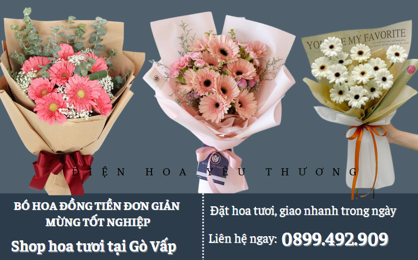 Bó hoa đồng tiền đơn giản mừng tốt nghiệp