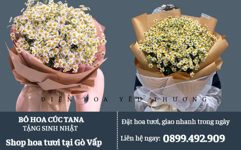 bó hoa cúc tana tặng sinh nhật đơn giản