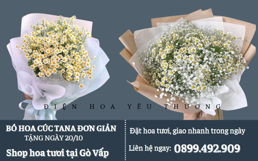 Bó hoa cúc tana đơn giản tặng 20/10