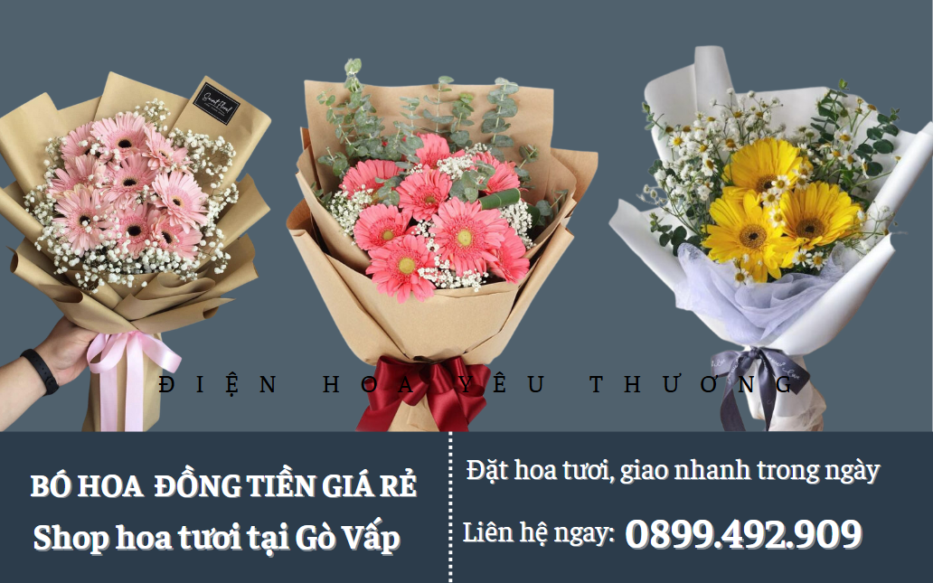 Bó hoa đồng tiền giá rẻ