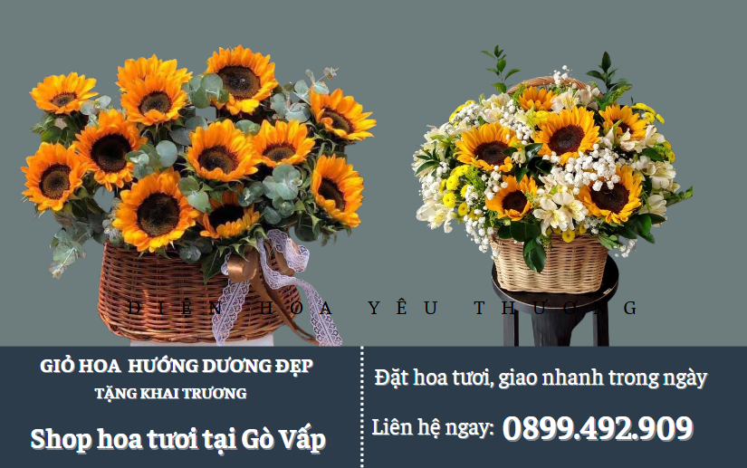 Giỏ hoa hướng dương tặng khai trương