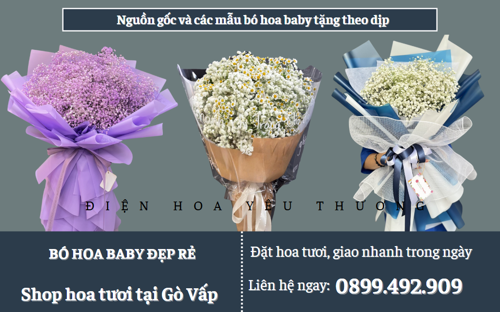 Nguồn gốc và các mẫu bó hoa baby tặng theo dịp