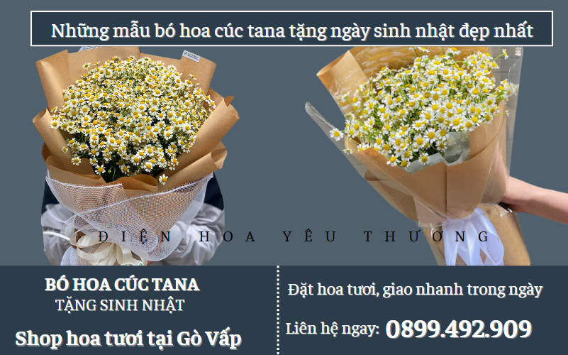 Bó hoa cúc tana tặng ngày sinh nhật