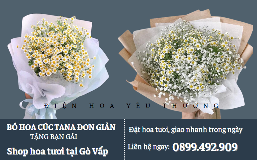 Bó hoa cúc tana tặng bạn gái đơn giản