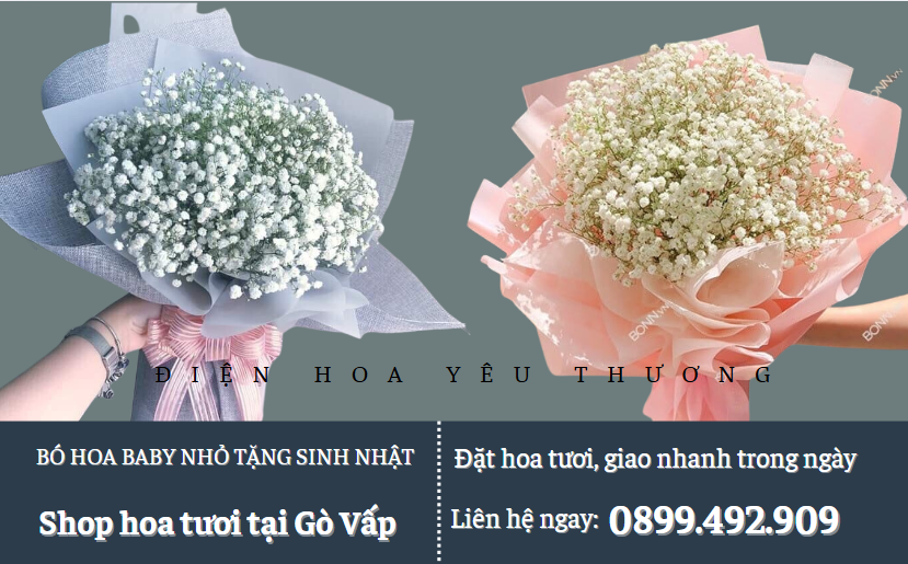 Bó hoa Baby nhỏ tặng sinh nhậtBó hoa baby nhỏ