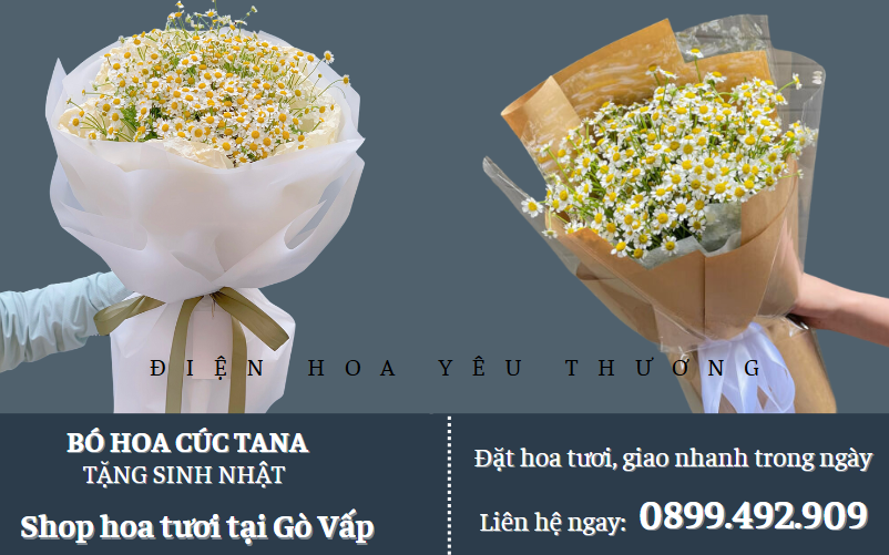 Bó hoa cúc tana đẹp giá rẻ