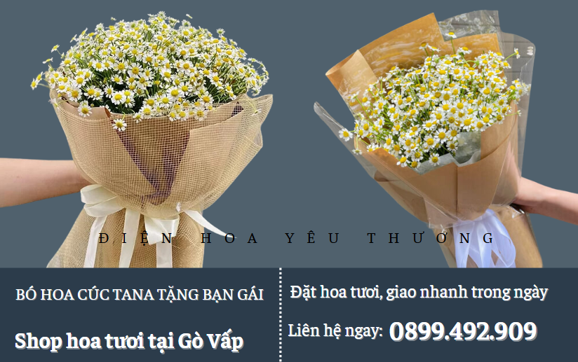 Bó hoa cúc tana tặng bạn gái cực xinh