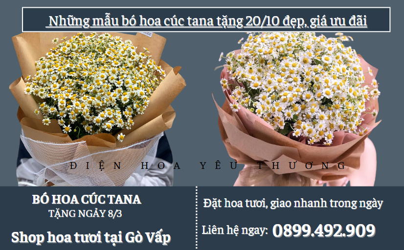 Mẫu bó hoa cúc tana tặng 20/10 đẹp, giá ưu đãi