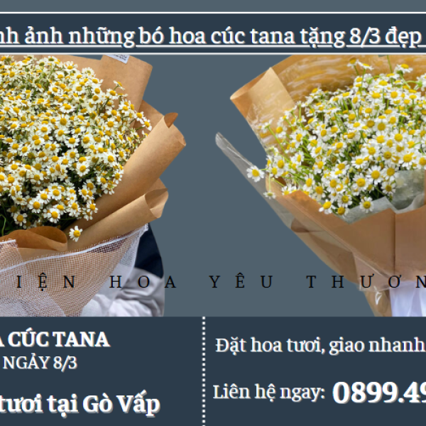 Hình ảnh những bó hoa cúc tana tặng 8/3 đẹp nhất