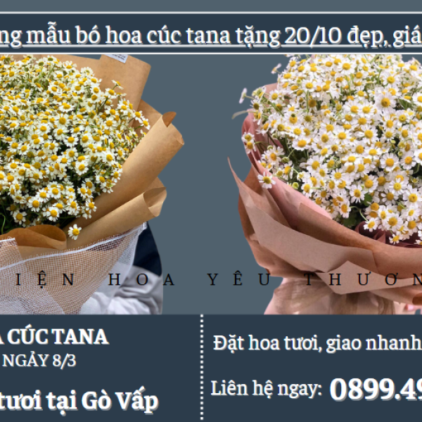Những mẫu bó hoa cúc tana tặng 20/10 đẹp, giá ưu đãi