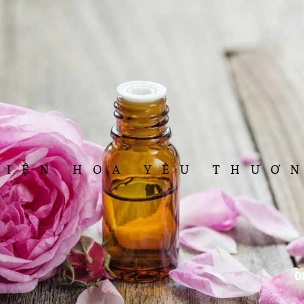 Cách làm tinh dầu hoa hồng tự nhiên tại nhà đơn giản nhất