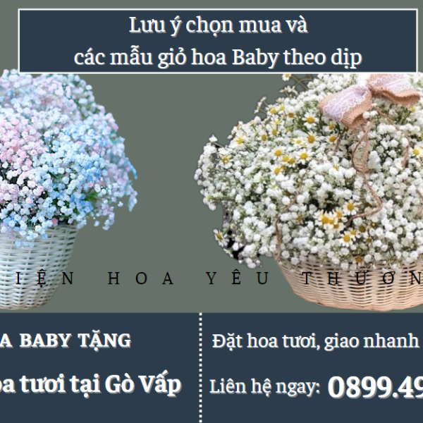 Lưu ý chọn mua và các mẫu giỏ hoa baby theo dịp