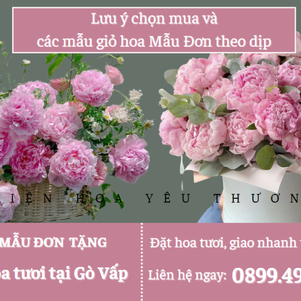 Lưu ý chọn mua và các mẫu giỏ hoa mẫu đơn theo dịp