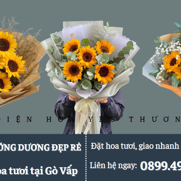 Bó hoa hướng dương giá rẻ tươi đẹp cho mọi dịp