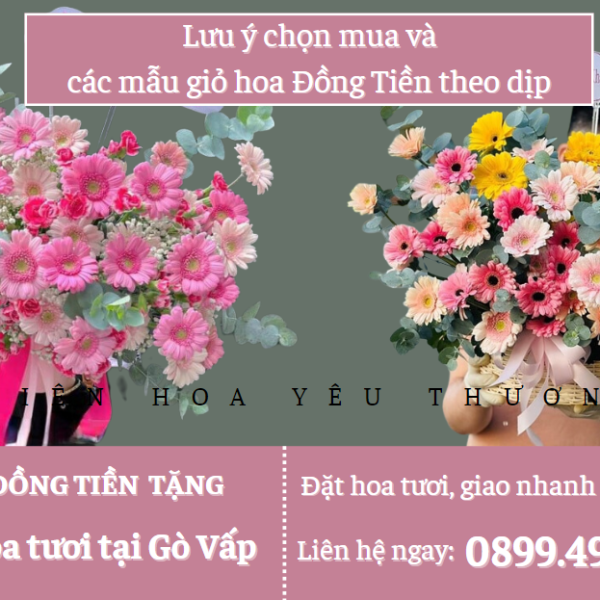 Lưu ý chọn mua và các mẫu giỏ hoa đồng tiền theo dịp