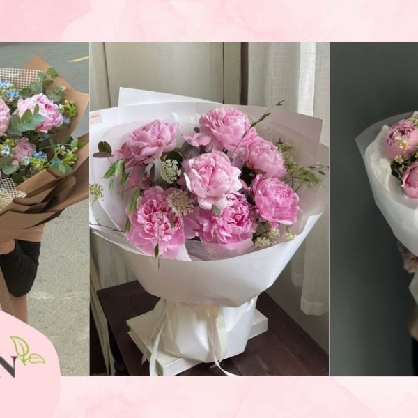 Ý nghĩa hoa mẫu đơn theo màu sắc, văn hóa và phong thủy