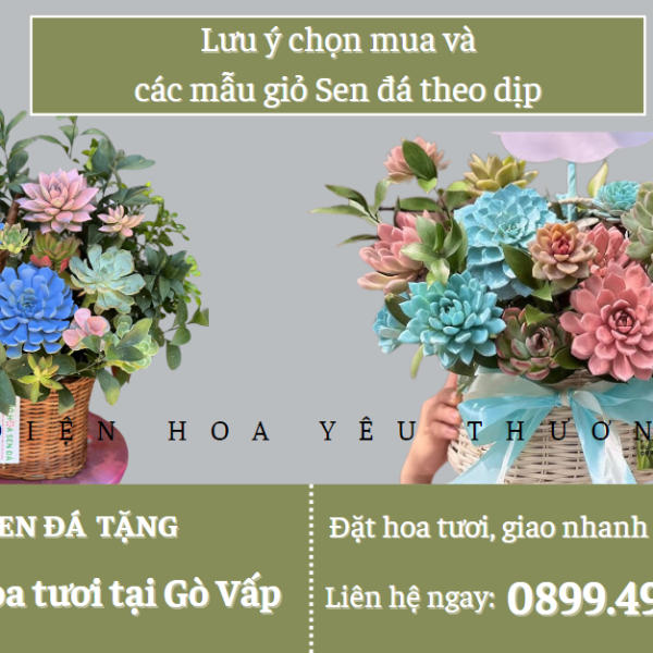 Lưu ý chọn mua và các mẫu giỏ sen đá theo dịp