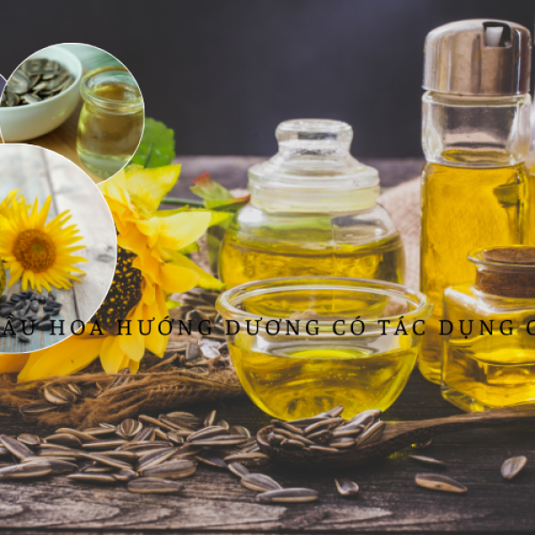 Dầu hoa hướng dương có tác dụng gì đặc biệt cho sức khỏe?