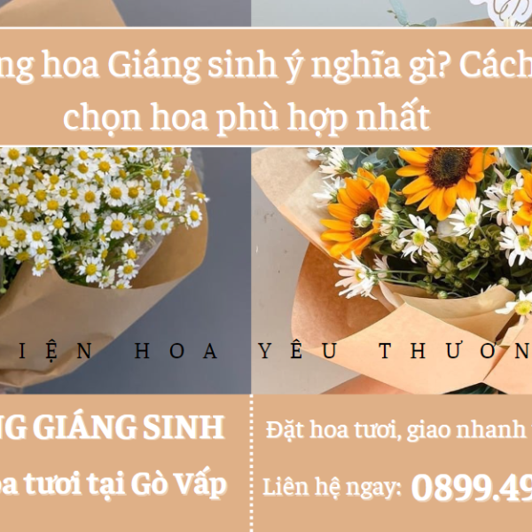 Tặng hoa Giáng sinh ý nghĩa gì? Cách chọn hoa phù hợp nhất