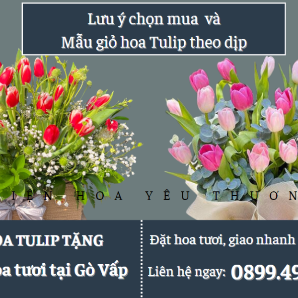 Lưu ý chọn mua và các mẫu giỏ hoa tulip theo dịp